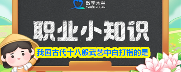 我国古代十八般武艺中白打指的是
