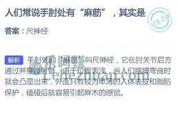 手肘处有麻筋是怎么回事