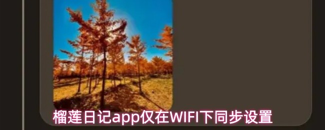 榴莲日记app仅在WIFI下同步设置