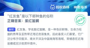 红友鱼是哪种鱼的俗称