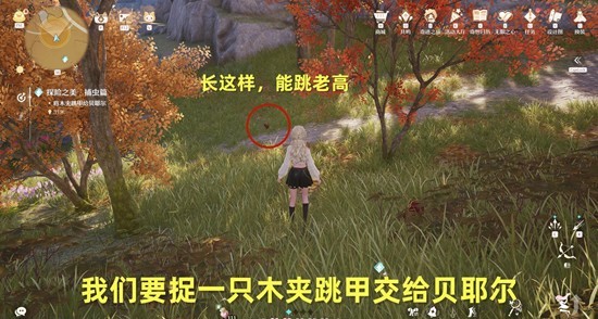 《无限暖暖》探险之美捕虫篇任务攻略