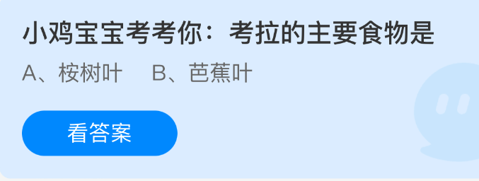 小鸡宝宝考考你考拉的主要食物是