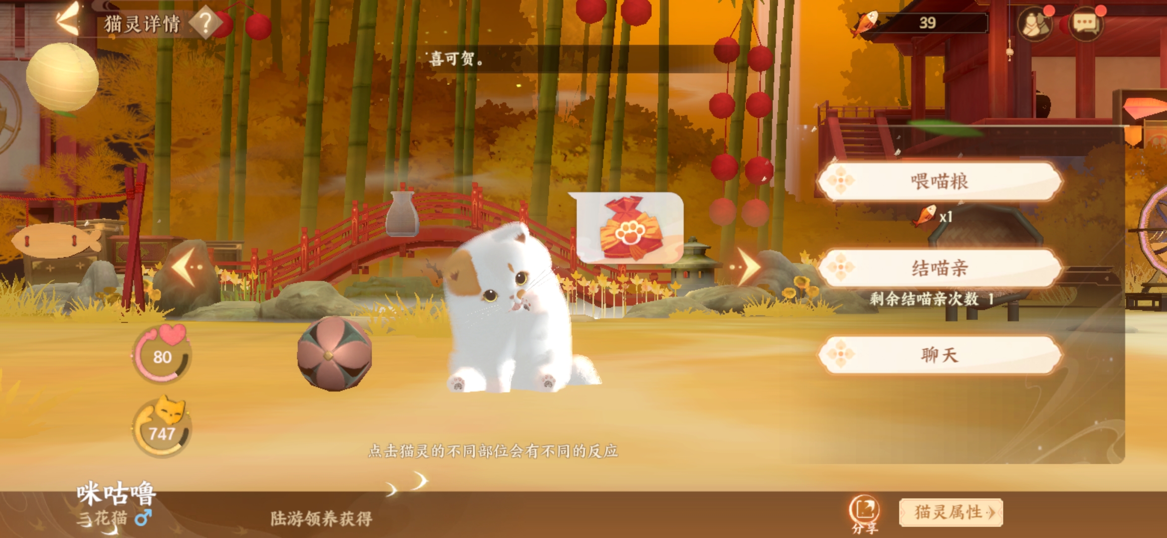 《忘川风华录》喵居玩法介绍