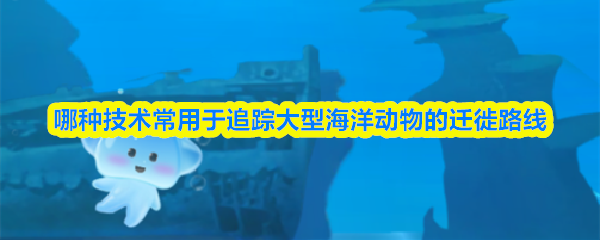 哪种技术常用于追踪大型海洋动物的迁徙路线