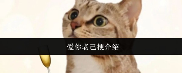 爱你老己梗介绍