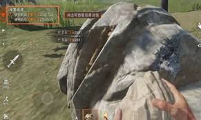 失控进化初期如何开荒