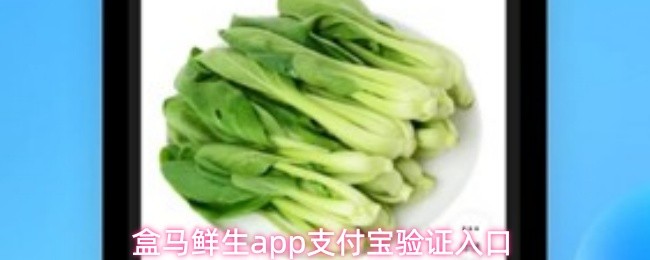 盒马鲜生app支付宝验证入口