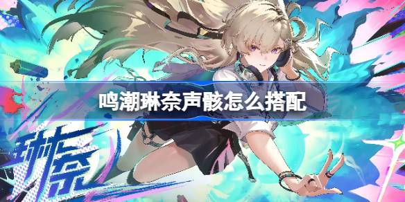 鸣潮琳奈声骸推荐一览