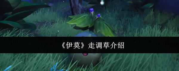 《伊莫》走调草介绍