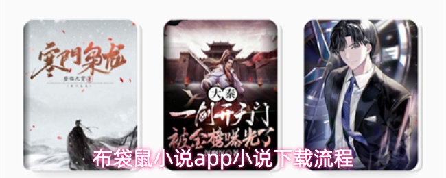 布袋鼠小说app小说下载流程