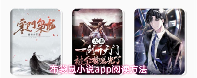 布袋鼠小说app阅读方法