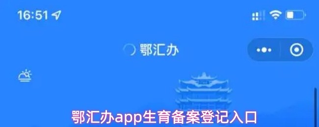 鄂汇办app生育备案登记入口