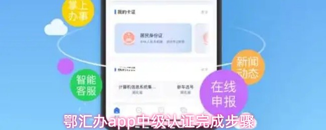 鄂汇办app中级认证完成步骤