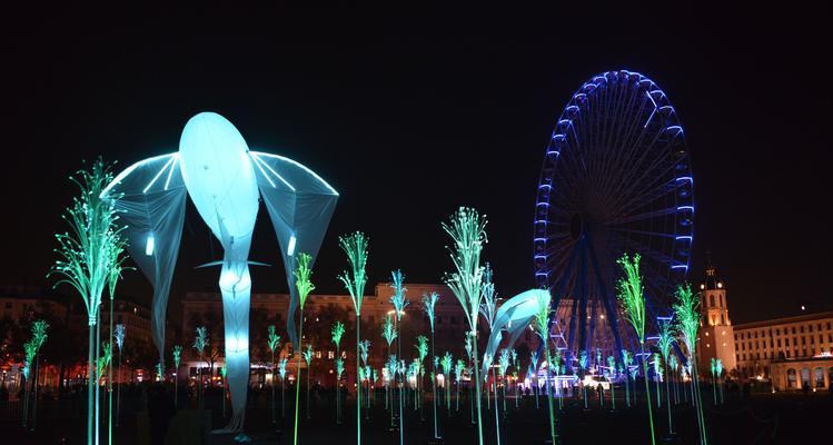揭秘里昂灯光节的魅力与奇观（欣赏里昂灯光节璀璨夜景，沉浸在光与影的童话世界中）-第3张图片-