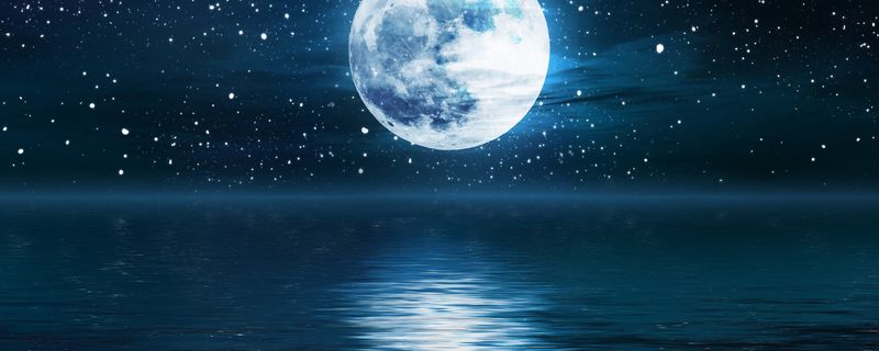 六便士和月亮到底是什么梗