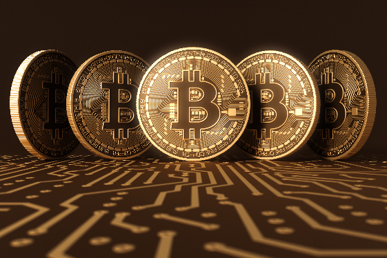 BTCvsETHvsBNB:新手投资组合分析