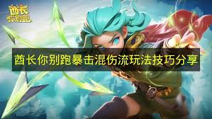 酋长你别跑暴击混伤流怎么玩