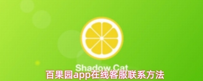 百果园app在线客服联系方法