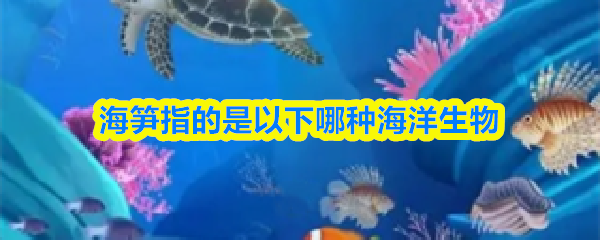海笋指的是以下哪种海洋生物