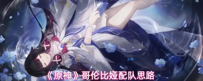 《原神》哥伦比娅配队思路