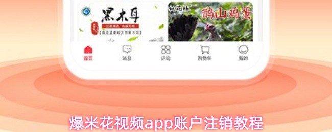 爆米花视频app账户注销教程