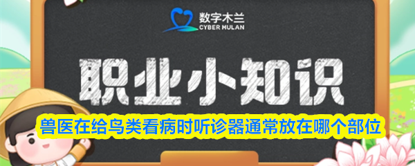 职业冷知识：兽医在给鸟类看病时听诊器通常放在哪个部位