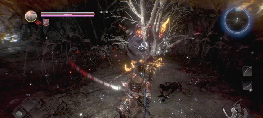 以仁王2技能点攻略（无懈可击的技能点选择策略，帮你在战斗中如虎添翼！）-第1张图片-