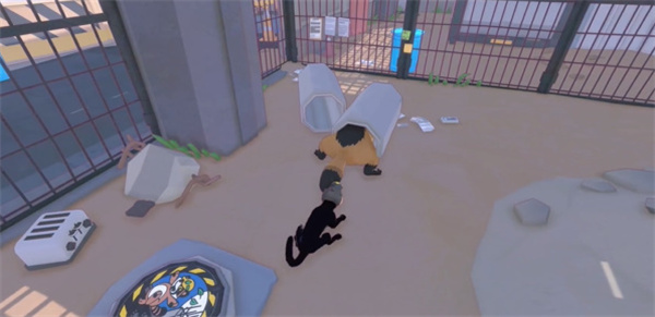 《小猫咪大城市》遇到一只鸟儿攻略