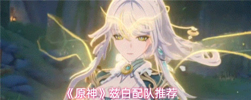 原神兹白怎么配队 原神兹白配队推荐