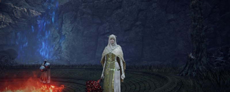 《艾尔登法环：黑夜君临》送葬者玩法攻略