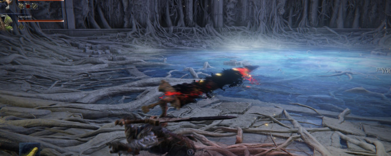 《艾尔登法环：黑夜君临》追踪者小众玩法攻略