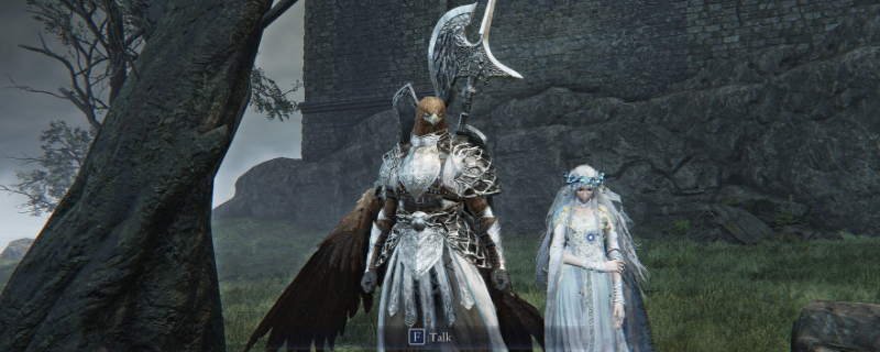 《艾尔登法环：黑夜君临》送葬者主流玩法攻略