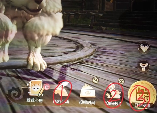 无限暖暖2.1版本巨兽养成计划 小巨兽养成保姆级攻略