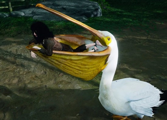 燕云十六声周年庆充值攻略 六元外观买一送一攻略