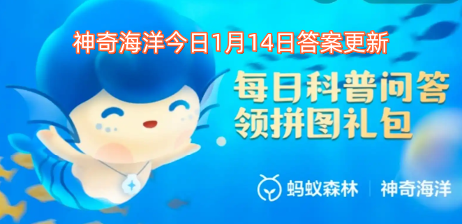 神奇海洋今日1月14日答案更新