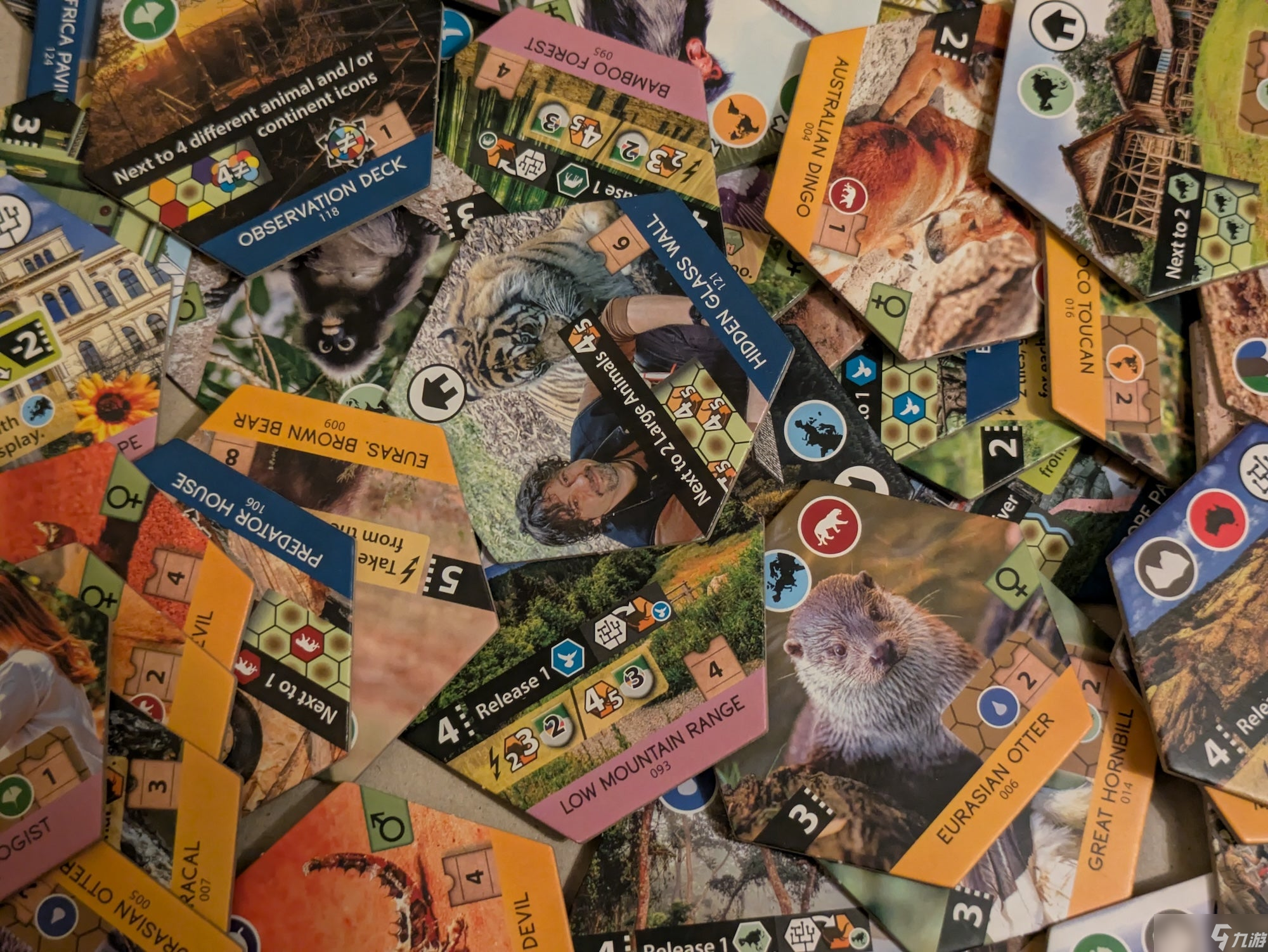 《圣所》桌游评测