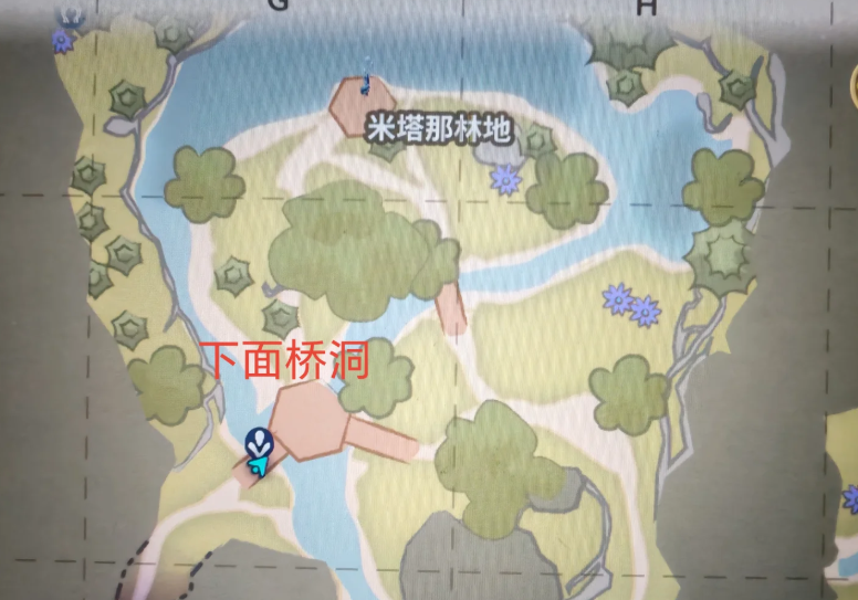 Palia帕利亚常青森林宝箱分布汇聚点