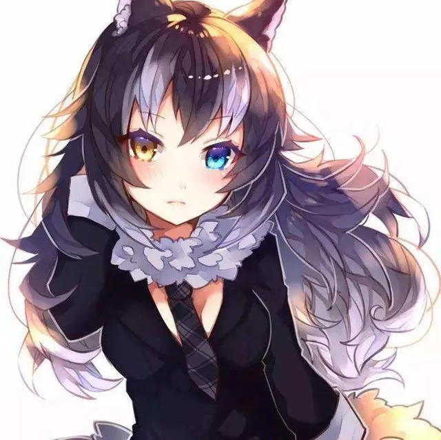 1769592917347558.png 哔咔4.png