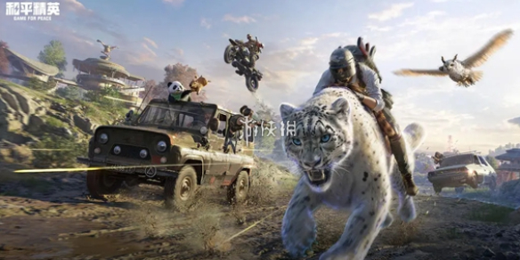 和平精英官网在哪-和平精英官网入口地址