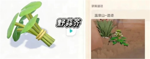 心动小镇新庆典新加野菜一览