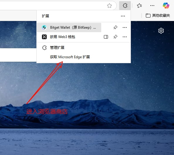 浏览器商店搜索欧易钱袋插件