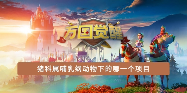 猪科属哺乳纲动物下的哪一个项目