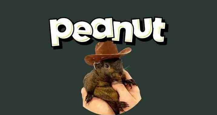 松鼠币(PNUT)是什么能否达到$10？PNUT币价格预测