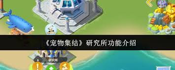 宠物集结建造功能如何