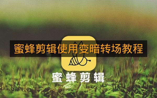 《蜜蜂剪辑》使用变暗转场教程