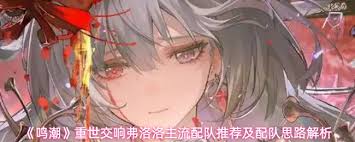鸣潮中弗洛洛如何配队