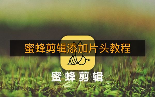 《蜜蜂剪辑》添加片头教程