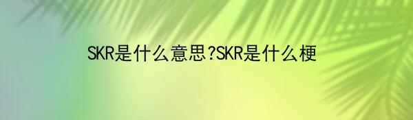 SKR啥意思-SKR是啥梗