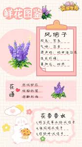 我的花园世界风信子值得入手吗