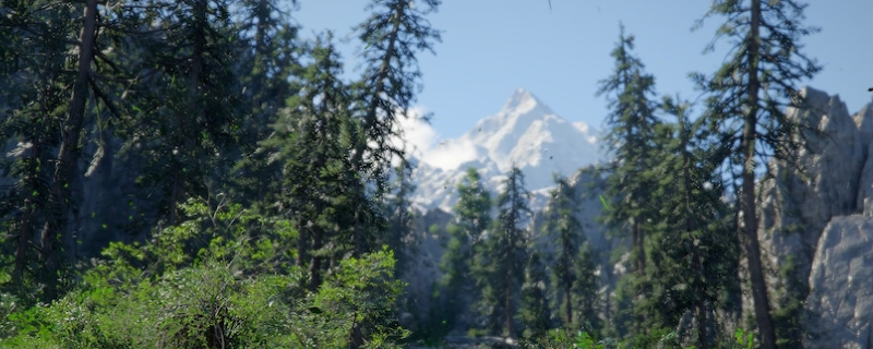 《红色沙漠》探索技巧分享